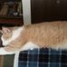 Vickie Overman - Facebook