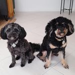 Vicki Page - @vickipage556 - Instagram
