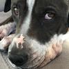 vicki_page - @vicki_page - TikTok