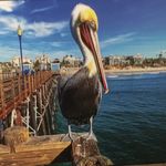 Vicki Page - @vicki515page - Instagram