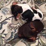 Vicki Painter - @vicki.painter.526 - Instagram
