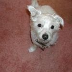 Vicki Painter - @z08272009 - Instagram