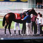 Vicki Pappas - @buckpasser1947 - Instagram