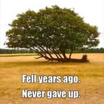 Vicki Pappas - @pappas294 - Instagram