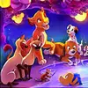 Vicki Park798 - @vickipark798 - TikTok