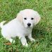 Vicki Park - Facebook