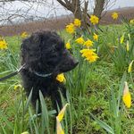 Vicki Parrish - @kitchen_vicki - Instagram