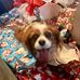 Vickie Patton - Facebook