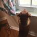 Vicky Patton - Facebook