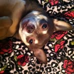 Vickie Pelkey - Facebook