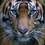 Vicki Pennington - @pennington1451 - Instagram