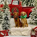 Vicki Pennington O'Malley - @vicki.omalley.3 - Instagram