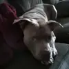 Vickie Pennington - @vickie.pennington - TikTok
