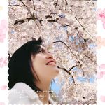 Vicki Phang - @vicki_phang - Instagram