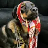 Vicki - @vickipicky1 - TikTok