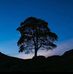 Vicky Pickering - Facebook
