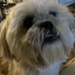 Vicki Pilcher - Facebook