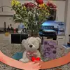 vickieplummerbroa - @vickieplummerbroa - TikTok