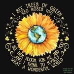 Vicki Poertner - @vickipoertner - Instagram