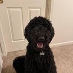 Vicki Burton Poff - @vickiburtonpoff - Instagram