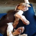 Vicki Pointer - @vickipointer - Instagram