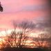 Vicki Pollack - Facebook