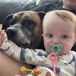 Vicki Post Ortner - @ortstertoo - Instagram