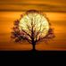 Vicki Potter - Facebook