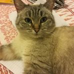 Vicki Powell - Facebook
