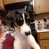 Vicki Probst - @vprobst896 - TikTok