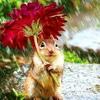 vickipurdy485 - @vickipurdy485 - TikTok