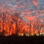Vicki Puterbaugh - Facebook