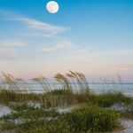 Vicki Ramey Reed - @vickirameyreed - Instagram