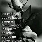 vicki ramirez - @ramirezvicki372 - Instagram