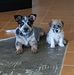 Vicki Ramsay - Facebook