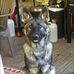 Vicki Rawls - Facebook