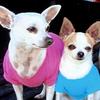 vicki_read - @vicki_read - TikTok