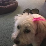 Vicki Reddick - @vickireddick - Instagram