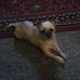 Vickie Reddick - Facebook