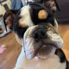 Vicky Redding - @vickyredding2 - TikTok