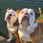 Vicki Reilly - @vicki_reilly75 - Instagram