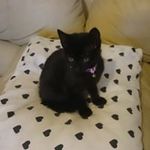 Vicki Reilly - @vickireilly1970 - Instagram