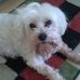 Vickie Ricketts - Facebook