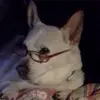 Vicki Riggin - @vicki.riggin - TikTok
