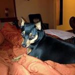 Vicki Risner - @risnervicki - Instagram