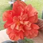 Vicki Roach - @vickidclark - Instagram