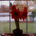 Vickie Robb - Facebook