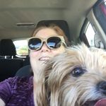 Vicki Root - @quilting_rocks - Instagram