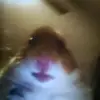 Vicky Root - @vickyroot908 - TikTok