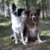Vicky Rösler - @catweasly6 - TikTok